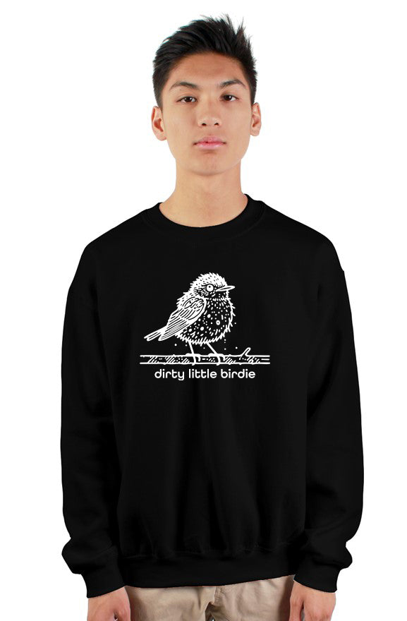 dirty little birdie heavy crewneck sweatshirt